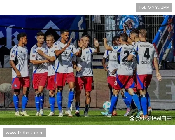 赞扬德甲球队:球迷与专家对德甲球队的评价 赞扬德甲球队:球迷与专家对德甲球队的评价