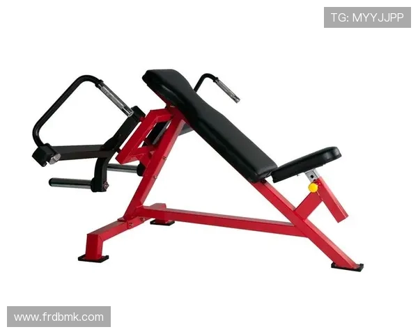 自制蝴蝶健身器材教程：家庭健身新选择