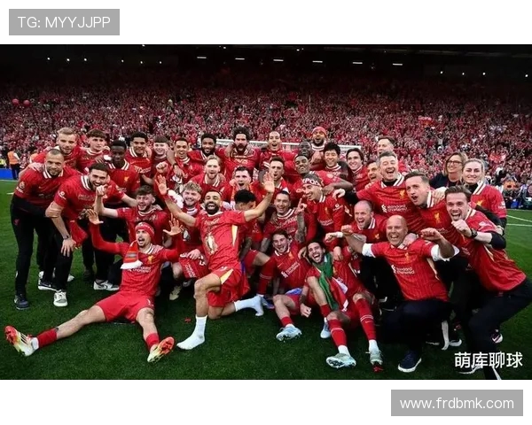 德甲联赛中曾夺得欧冠冠军的球队介绍