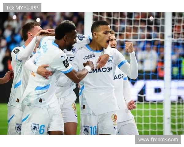 法甲官方统计数据及其权威性分析